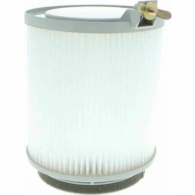 VEMO Green Mobility Parts V46-30-1007 Filtro, Aria Abitacolo A Buon Prezzo