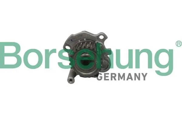 Borsehung B12688 Pompa acqua Alluminio pressofuso, Plastica Spedizione Espresso