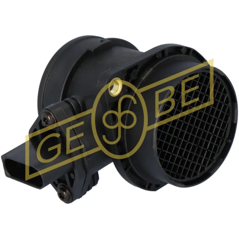 GEBE 9 5005 1 Debimetro 12V, con alloggiamento Non Perdere