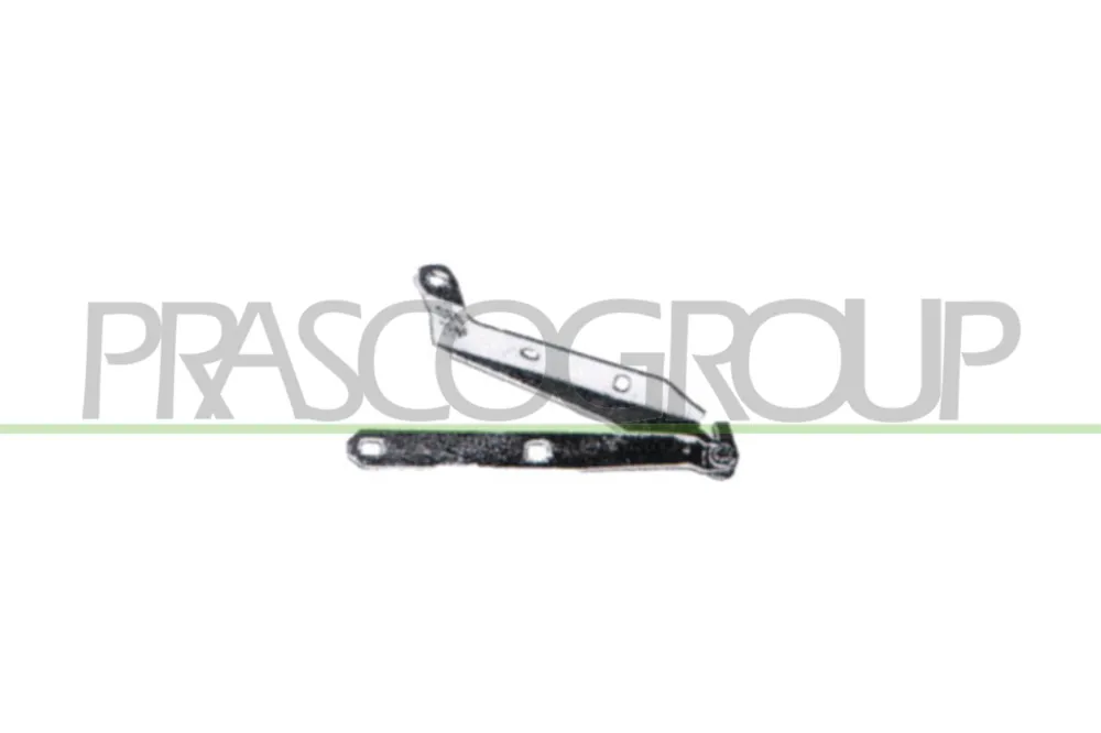 Offerta Limitata PRASCO FT0173703 - Cerniera, Cofano motore ATP Autoricambi