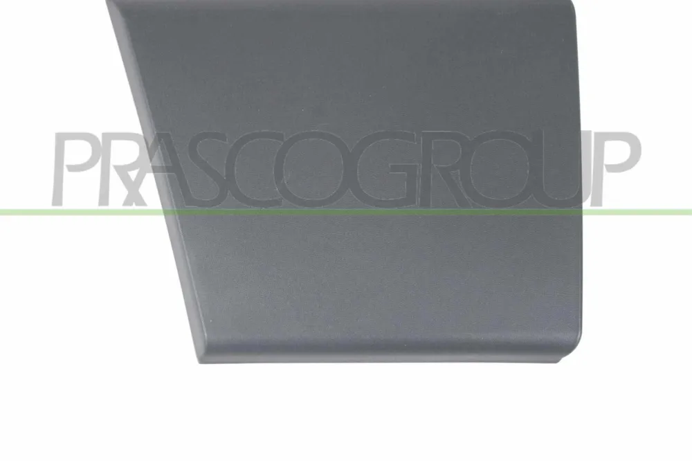 Vendita Finale PRASCO FT9301405 - Modanatura decorativa/ protettiva, Portiera ATP Autoricambi