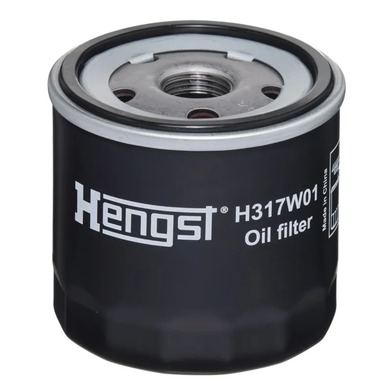 Compra Oggi Stesso HENGST FILTER H317W01 - Filtro olio ATP Autoricambi