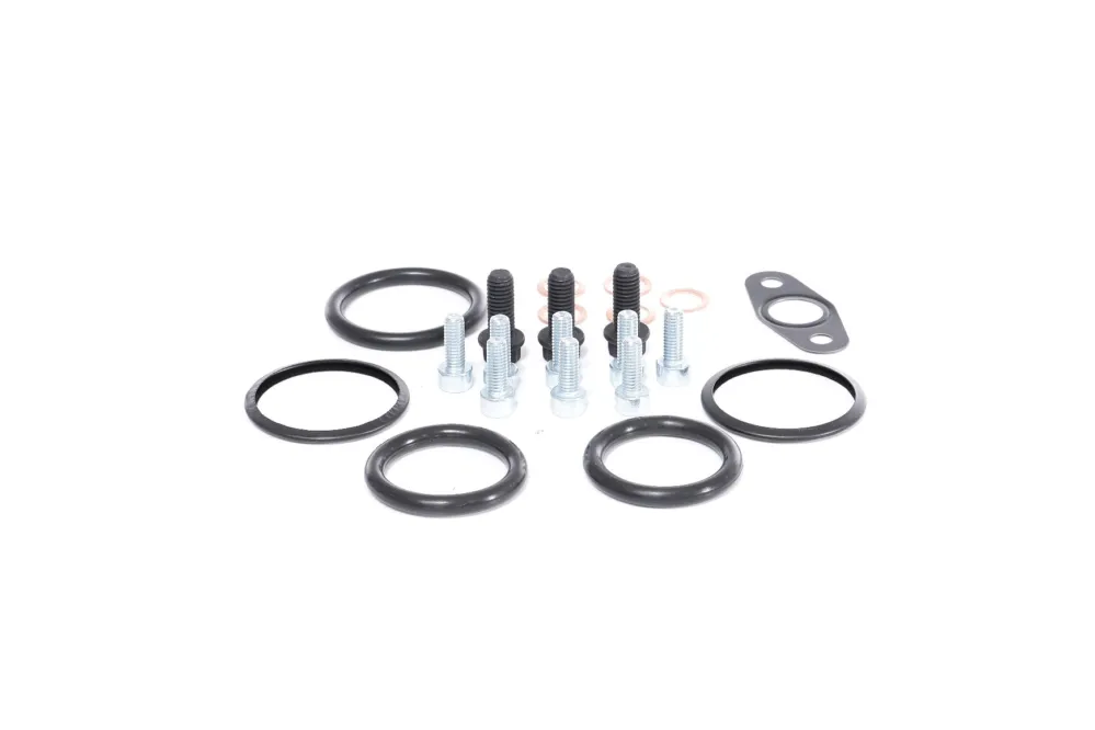 Bestseller BTS Turbo T931511ABS - Kit di montaggio per turbocompressore ATP Autoricambi