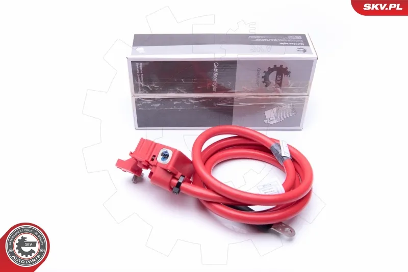 Compra Adesso ESEN SKV 96SKV308 - Adattatore batteria ATP Autoricambi