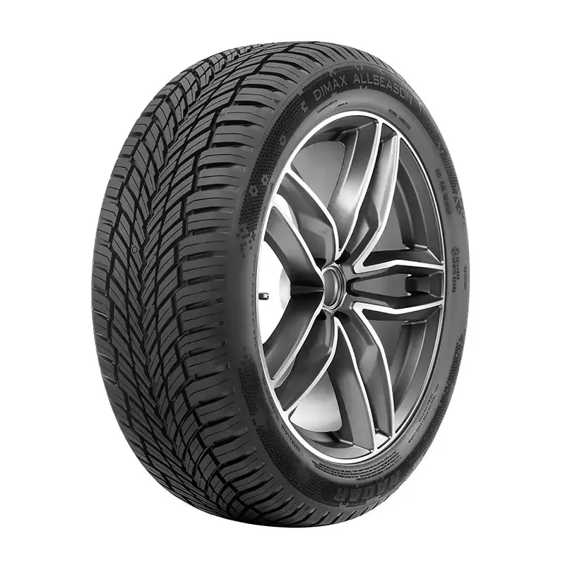 Must-Have Radar Dimax All Season 205/55 R16 91V gomme 4 stagioni