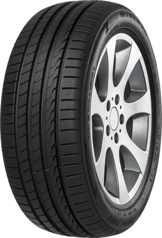 Promozione Esclusiva Minerva F205 215/55 R17 98W XL gomme estive