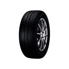 Spedizione Espresso Platin RP70 WINTER 235/55 R17 103V gomme invernali