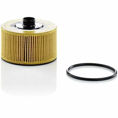 MANN-FILTER HU 10 002 z Filtro Olio Reso Gratuito