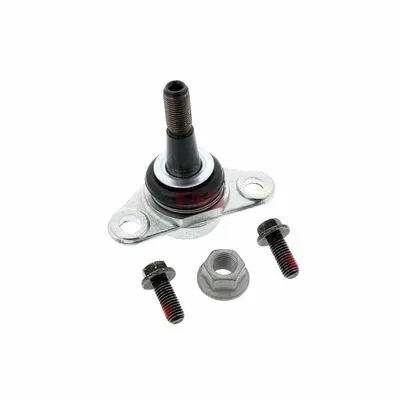Compra Adesso FAG 825 0247 10 Giunto di Supporto / Guida
