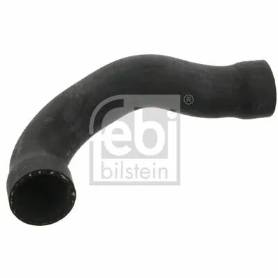 Non Perdere FEBI BILSTEIN 37135 Flessibile Radiatore