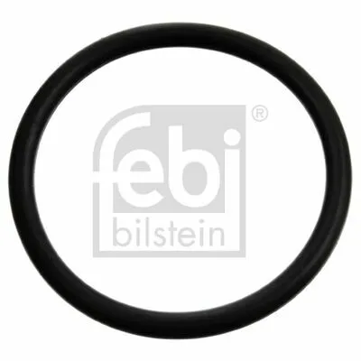 Vendita Finale FEBI BILSTEIN 17970 Guarnizione, Alloggiam. Termostato