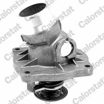 Consegna Rapida CALORSTAT TH7179.88J Termostato, Refrigerante