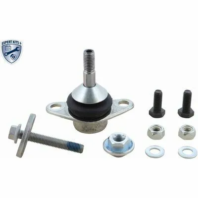 Occasione VAICO EXPERT KITS + V95-0098 Giunto di Supporto / Guida