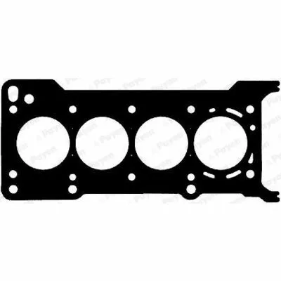 PAYEN AG8170 Guarnizione, Testata Sconto