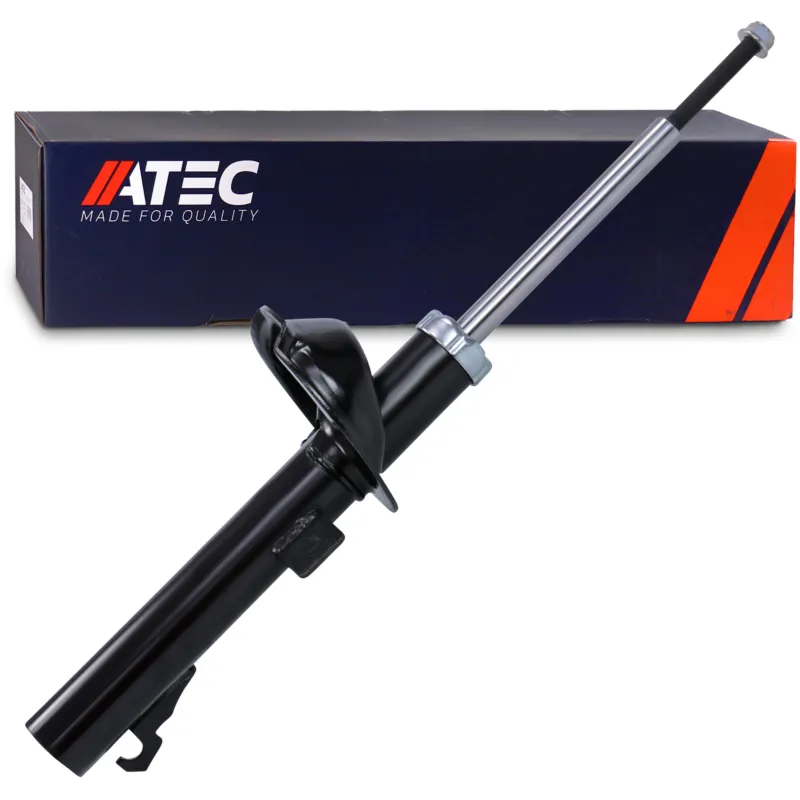ATEC 10691060 - Ammortizzatore ATP Autoricambi Vendita Finale