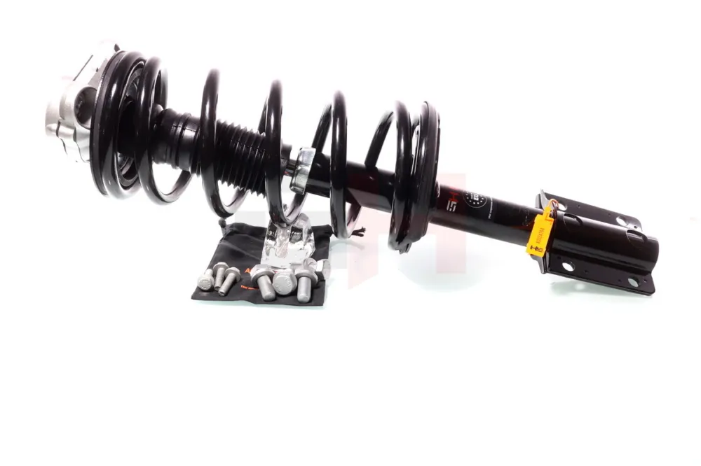 Spedizione Espresso GH GH-351958C02 - Ammortizzatore a molla ATP Autoricambi