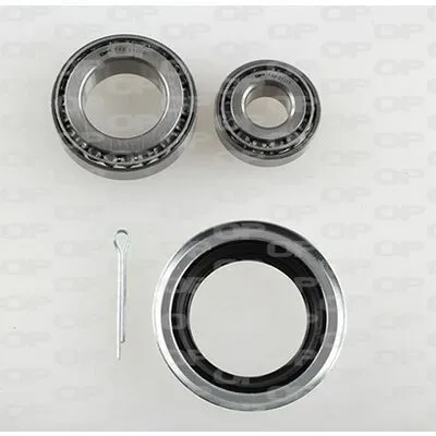 Economico OPEN PARTS HBK5106.00 Kit Cuscinetto Ruota