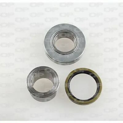 Prezzo Conveniente OPEN PARTS HBK5143.00 Kit Cuscinetto Ruota