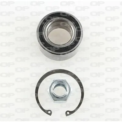 Offerta Del Giorno OPEN PARTS HBK5169.01 Kit Cuscinetto Ruota