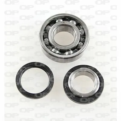Offerta Speciale OPEN PARTS HBK5170.00 Kit Cuscinetto Ruota