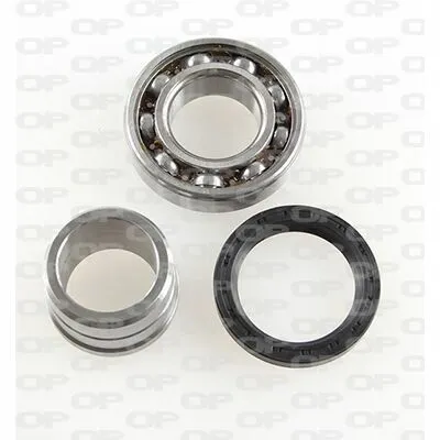 Promo Stagionale OPEN PARTS HBK5187.00 Kit Cuscinetto Ruota