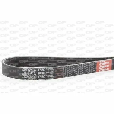 OPEN PARTS PVB0880.07 Cinghia Poly-V Scelto Dai Clienti