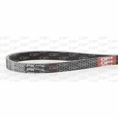 Compra Adesso OPEN PARTS PVB1715.05 Cinghia Poly-V