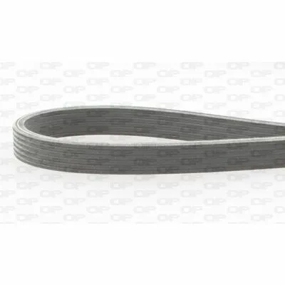 OPEN PARTS PVBD1195.06 Cinghia Poly-V Professionale
