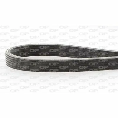 OPEN PARTS PVBD1817.06 Cinghia Poly-V Quantità Limitata