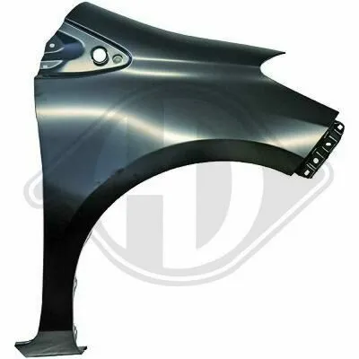 Acquista Ora DIEDERICHS 6607006 Parafango