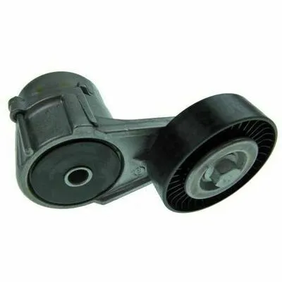 Must-Have AUTOMEGA 160101210 Galoppino/Guidacinghia, Cinghia Poly-V