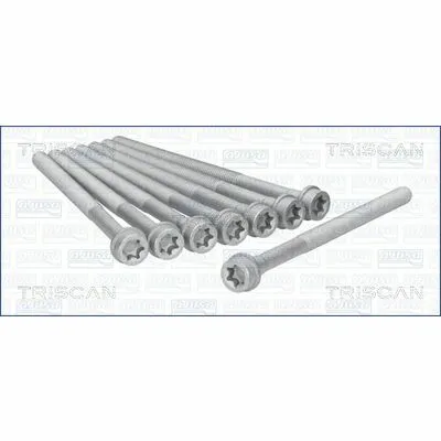 Compra Oggi Stesso TRISCAN 98-7519 Kit Bulloni Testata