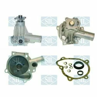 Promozione SALERI SIL PA473 Pompa Dell’Acqua, Raffreddamento Motore