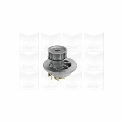 GRAF PA1061 Pompa Dell’Acqua, Raffreddamento Motore Solo Oggi