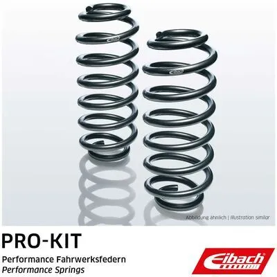 Occasione Imperdibile EIBACH Pro-Kit E10-85-013-04-20 Molla Autotelaio