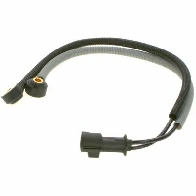 BOSCH 0 261 231 142 Sensore di Detonazione Miglior Prezzo