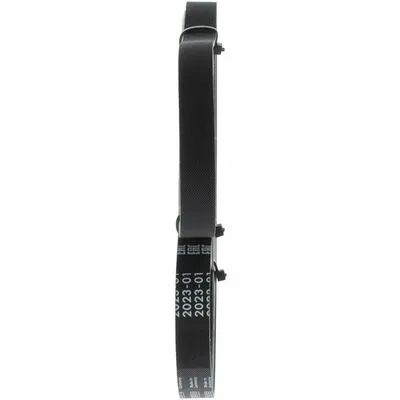 Non Perdere BOSCH 1 987 945 724 Cinghia Poly-V