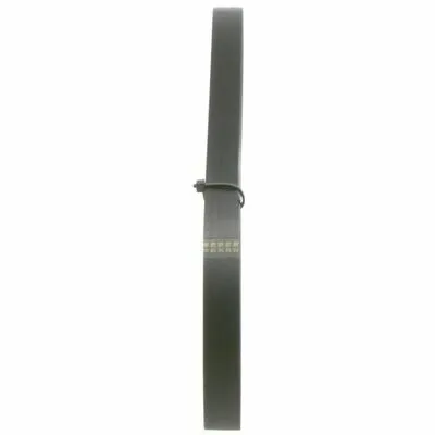 BOSCH 1 987 946 010 Cinghia Poly-V Offerta Limitata
