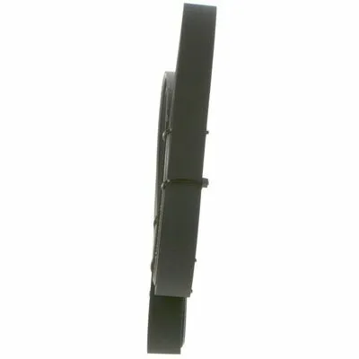 Reso Gratuito BOSCH 1 987 946 030 Cinghia Poly-V