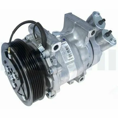 Direttamente Dal Produttore DELPHI TSP0159172 Compressore, Climatizzatore