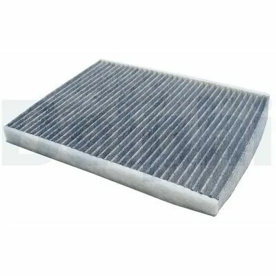 DELPHI TSP0325310C Filtro, Aria Abitacolo Affare