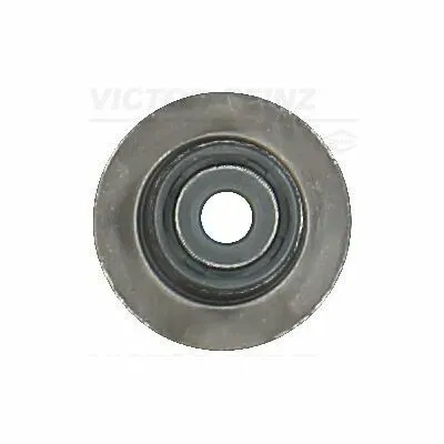VICTOR REINZ 70-54206-00 Anello Tenuta, Stelo Valvola Acquista Ora