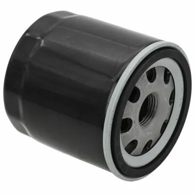 AUTOMEGA 180043510 Filtro Olio Offerta Speciale
