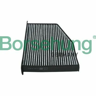 BORSEHUNG B18016 Filtro, Aria Abitacolo Prezzo Di Fabbrica